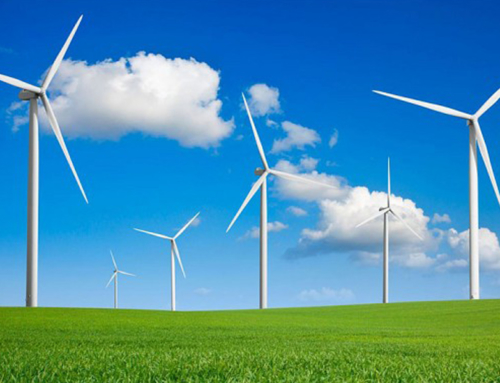 Ecología y Agroecología